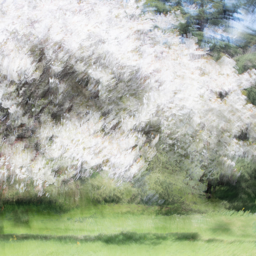 Josy Moderne Photographies